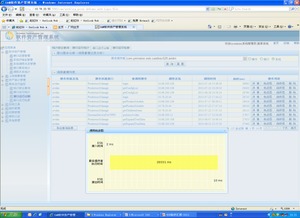 中国空间技术研究院北京卫星制造厂信息系统集成服务解析