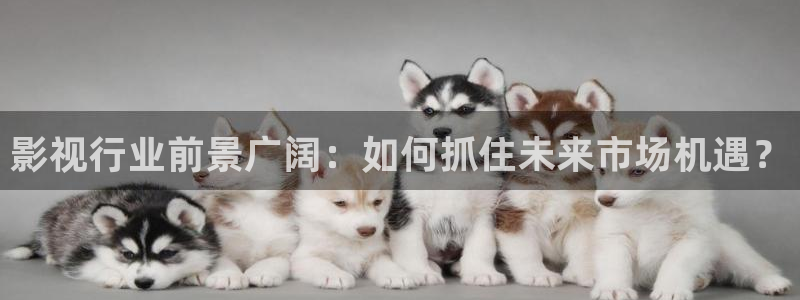 木瓜电影片