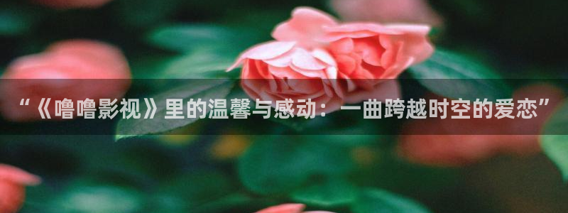 木瓜影院在线观看