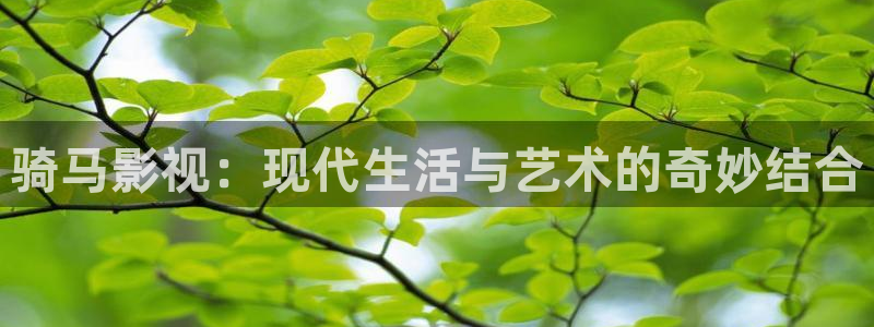 木瓜视频电影