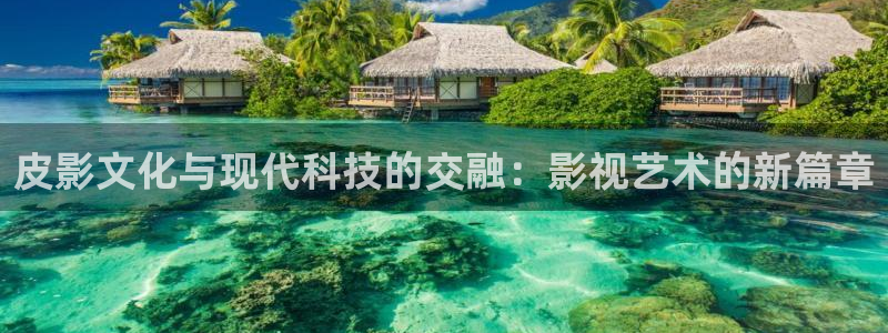 木瓜影视怎么下载：皮影文化与现代科技的交融：影视艺术的新篇章