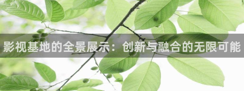 木瓜影视：影视基地的全景展示：创新与融合的无限可能