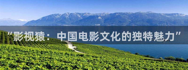 野木瓜片和木瓜片区别