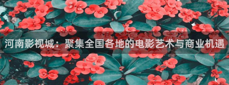 木瓜影院在线