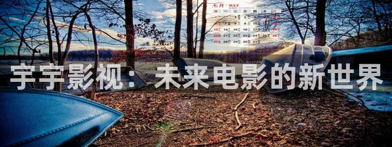 木瓜视野频：宇宇影视：未来电影的新世界