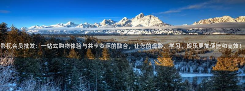 木瓜电影院电视剧免费播放：影视会员批发：一站式购物体验与共享资源的融合，让您的观影、学习、娱乐更加便捷和高效！