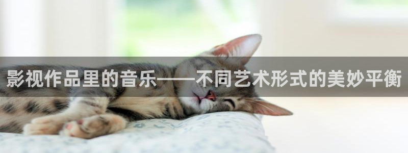 木瓜免费影院：影视作品里的音乐——不同艺术形式的美妙平衡