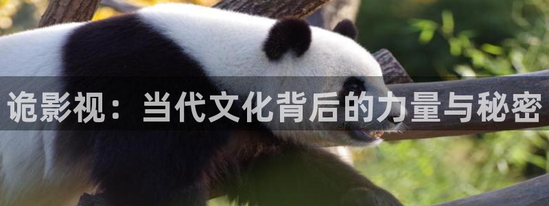木瓜影视下载：诡影视：当代文化背后的力量与秘密